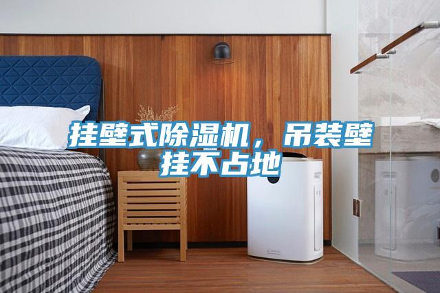 掛壁式除濕機(jī)，吊裝壁掛不占地