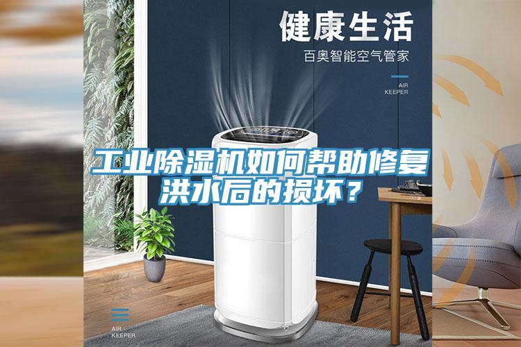 工業(yè)除濕機如何幫助修復洪水后的損壞？