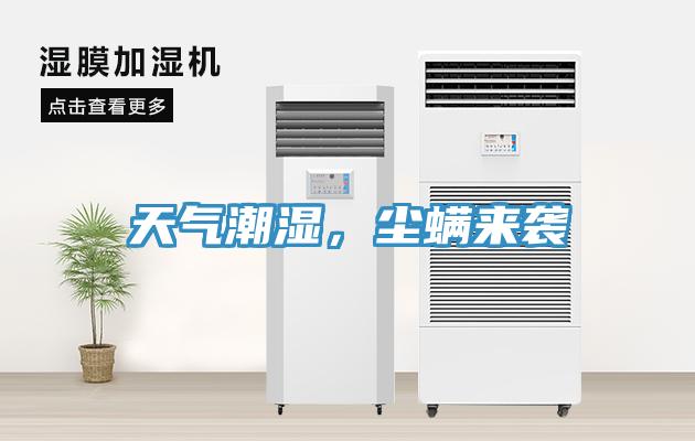 天氣潮濕，塵螨來襲