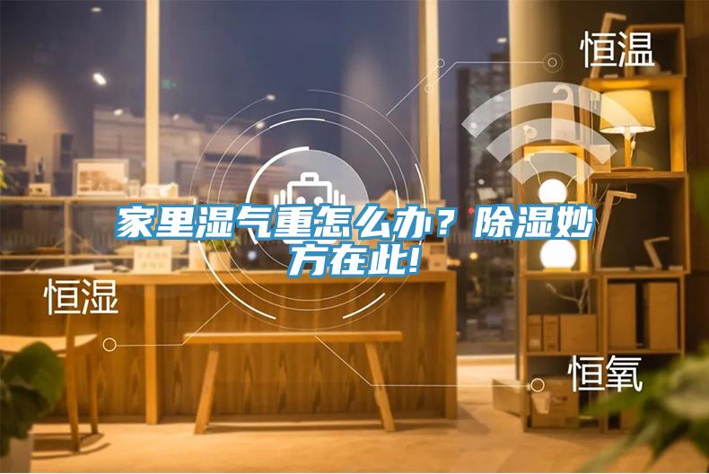家里濕氣重怎么辦？除濕妙方在此!