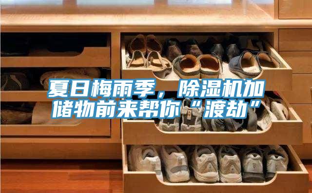 夏日梅雨季，除濕機(jī)加儲(chǔ)物前來幫你“渡劫”