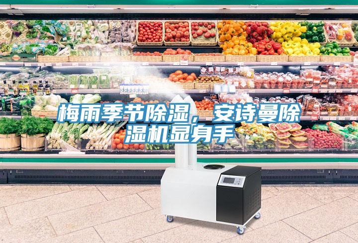 梅雨季節(jié)除濕，安詩曼除濕機顯身手