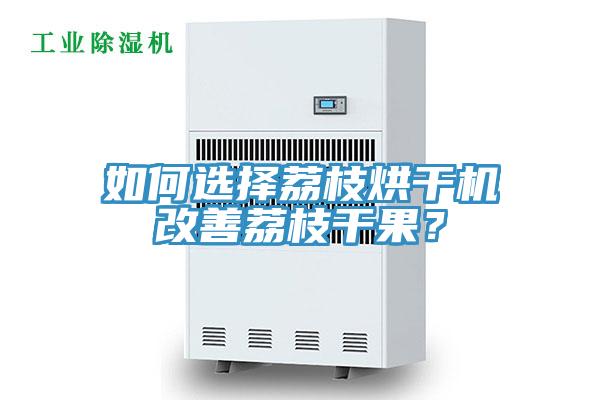 如何選擇荔枝烘干機(jī)改善荔枝干果？