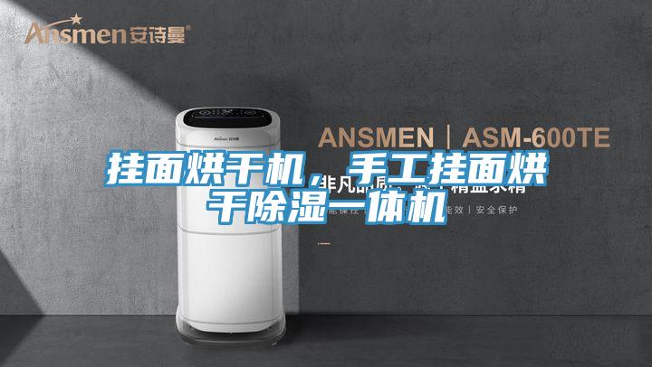掛面烘干機(jī)，手工掛面烘干除濕一體機(jī)