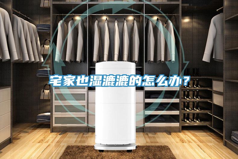 宅家也濕漉漉的怎么辦？