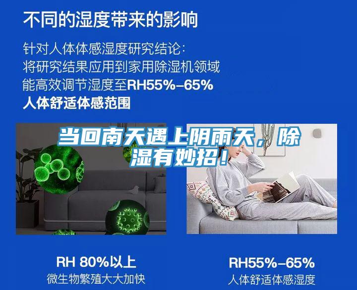 當(dāng)回南天遇上陰雨天，除濕有妙招！