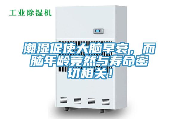 潮濕促使大腦早衰，而腦年齡竟然與壽命密切相關(guān)！
