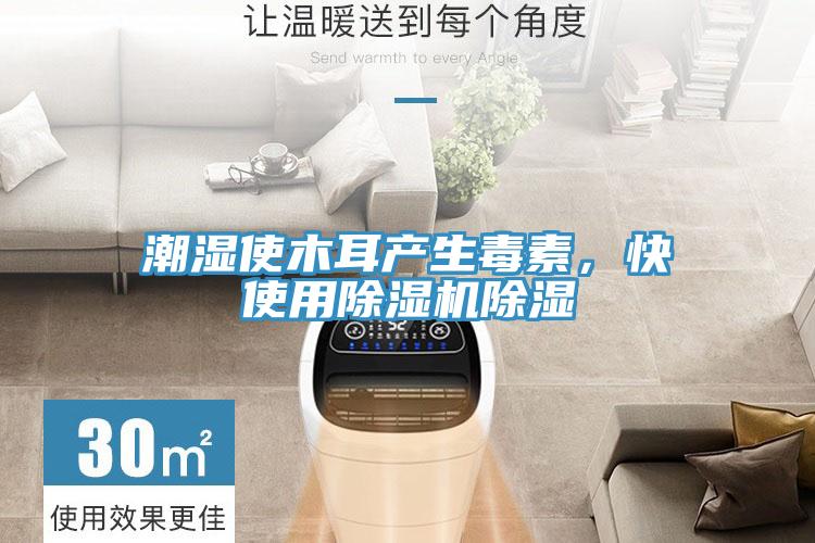 潮濕使木耳產(chǎn)生毒素，快使用除濕機(jī)除濕