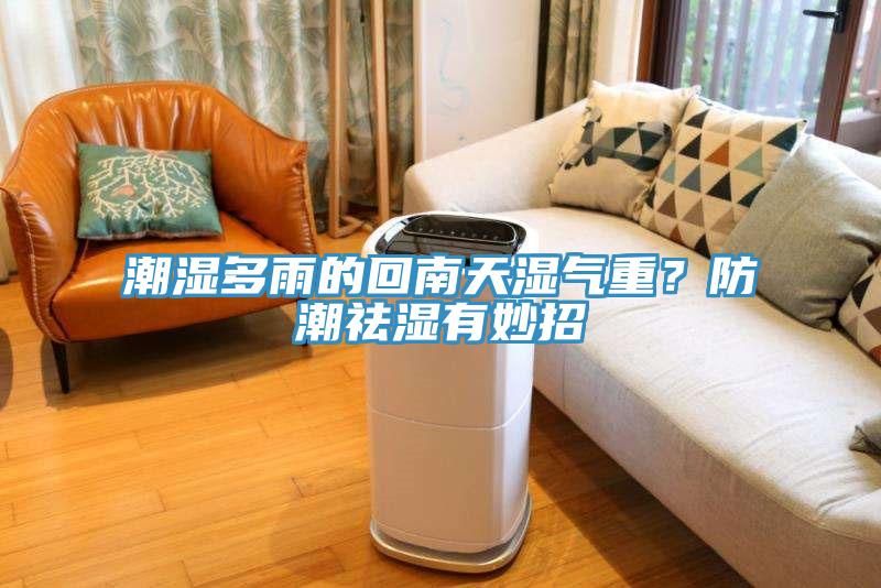 潮濕多雨的回南天濕氣重？防潮祛濕有妙招