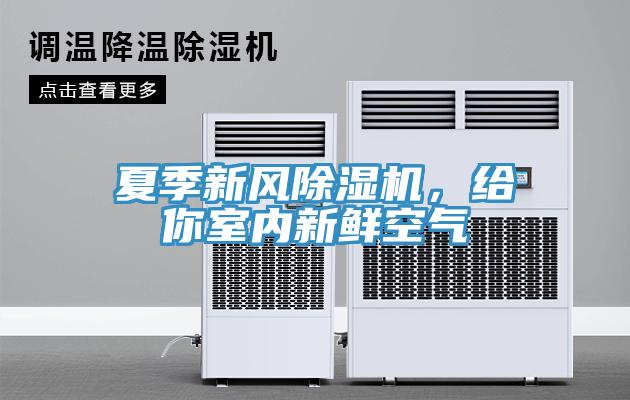 夏季新風(fēng)除濕機(jī)，給你室內(nèi)新鮮空氣
