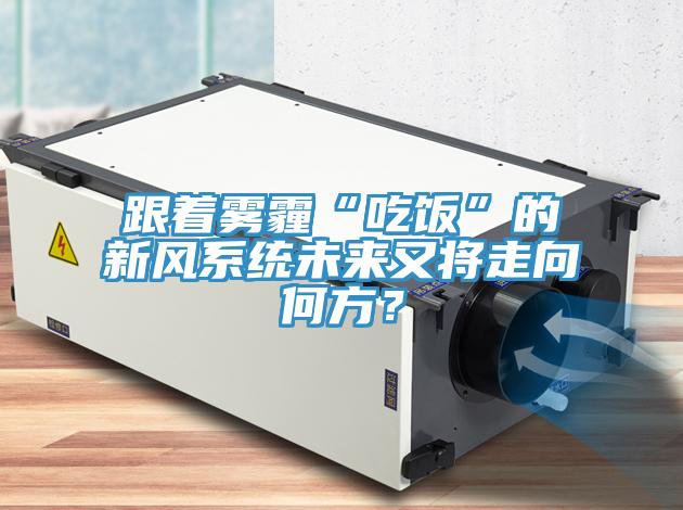 跟著霧霾“吃飯”的新風(fēng)系統(tǒng)未來又將走向何方？