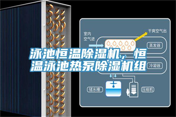泳池恒溫除濕機(jī)，恒溫泳池?zé)岜贸凉駲C(jī)組