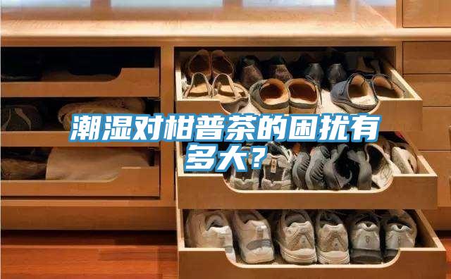潮濕對柑普茶的困擾有多大？