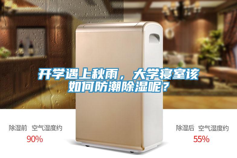 開學遇上秋雨，大學寢室該如何防潮除濕呢？