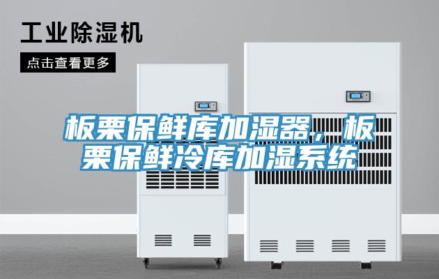 板栗保鮮庫加濕器，板栗保鮮冷庫加濕系統(tǒng)