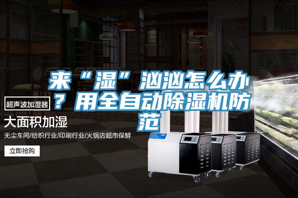 來“濕”洶洶怎么辦？用全自動除濕機防范