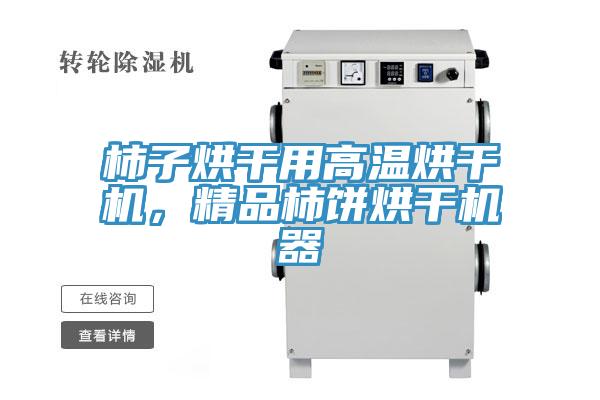 柿子烘干用高溫烘干機，精品柿餅烘干機器