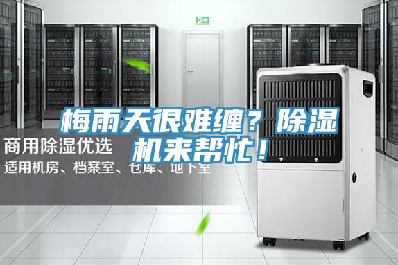 梅雨天很難纏？除濕機(jī)來幫忙！