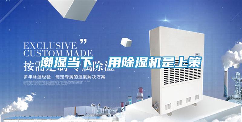 潮濕當(dāng)下，用除濕機是上策