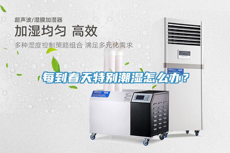 每到春天特別潮濕怎么辦？