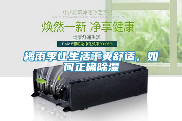 梅雨季讓生活干爽舒適，如何正確除濕
