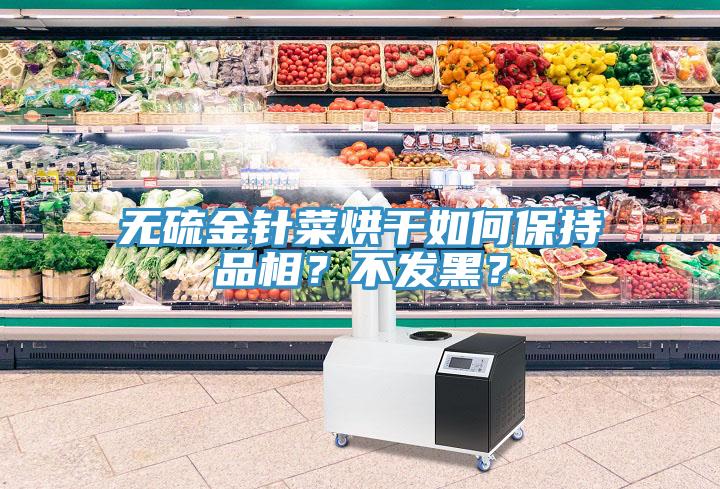 無(wú)硫金針菜烘干如何保持品相？不發(fā)黑？