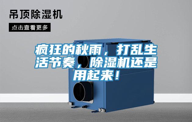 瘋狂的秋雨，打亂生活節(jié)奏，除濕機(jī)還是用起來(lái)！