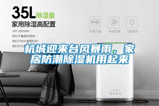 杭城迎來(lái)臺(tái)風(fēng)暴雨，家居防潮除濕機(jī)用起來(lái)