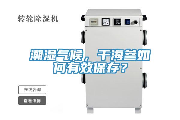 潮濕氣候，干海參如何有效保存？