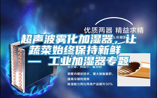 超聲波霧化加濕器，讓蔬菜始終保持新鮮 — 工業(yè)加濕器專題