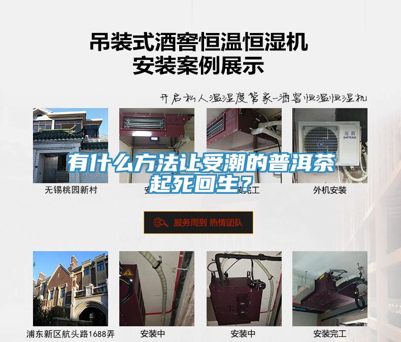 有什么方法讓受潮的普洱茶起死回生？
