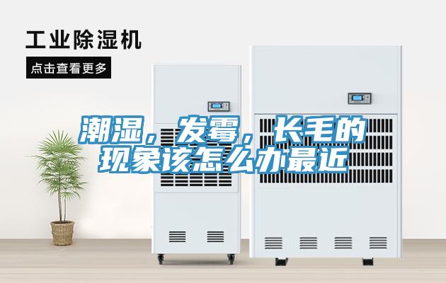 潮濕，發(fā)霉，長(zhǎng)毛的現(xiàn)象該怎么辦最近
