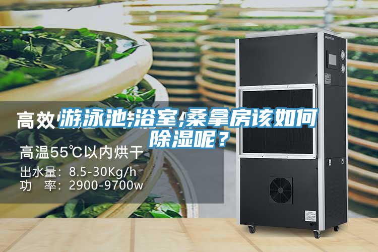 游泳池,浴室,桑拿房該如何除濕呢？