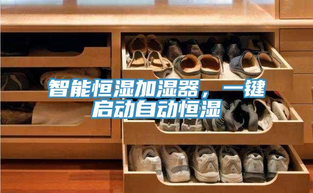 智能恒濕加濕器，一鍵啟動自動恒濕