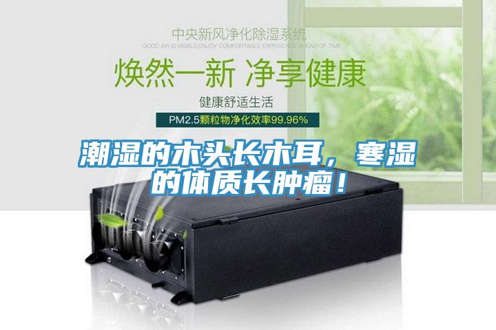 潮濕的木頭長木耳，寒濕的體質(zhì)長腫瘤！
