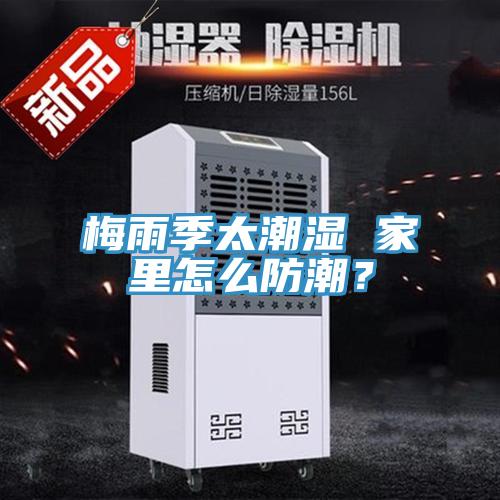 梅雨季太潮濕 家里怎么防潮？
