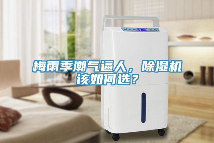 梅雨季潮氣逼人，除濕機(jī)該如何選？