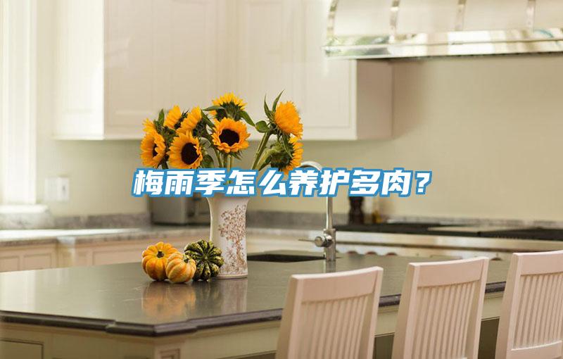 梅雨季怎么養(yǎng)護多肉？