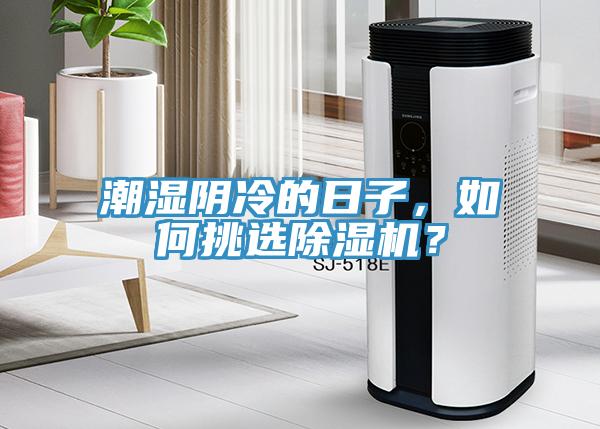 潮濕陰冷的日子，如何挑選除濕機？