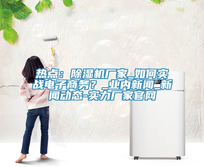 熱點(diǎn)：除濕機(jī)廠家_如何實(shí)戰(zhàn)電子商務(wù)？_業(yè)內(nèi)新聞_新聞動態(tài)-實(shí)力廠家官網(wǎng)