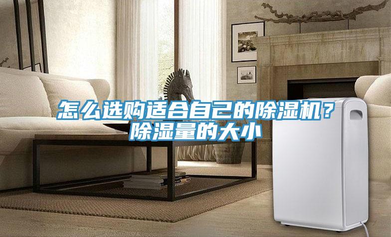 怎么選購適合自己的除濕機？除濕量的大小