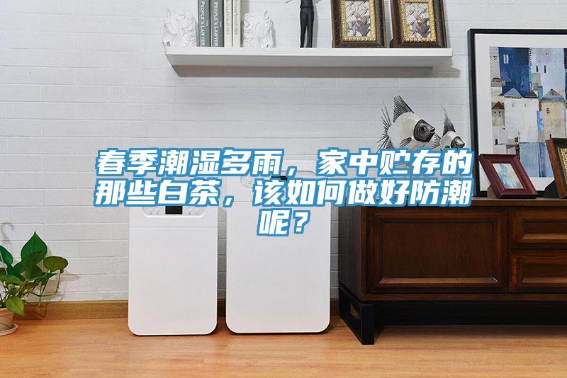 春季潮濕多雨，家中貯存的那些白茶，該如何做好防潮呢？