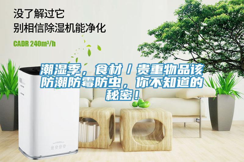 潮濕季，食材／貴重物品該防潮防霉防蟲，你不知道的秘密！