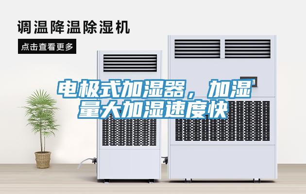 電極式加濕器，加濕量大加濕速度快