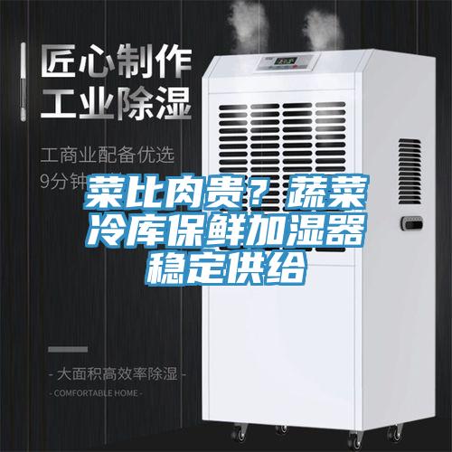 菜比肉貴？蔬菜冷庫保鮮加濕器穩(wěn)定供給