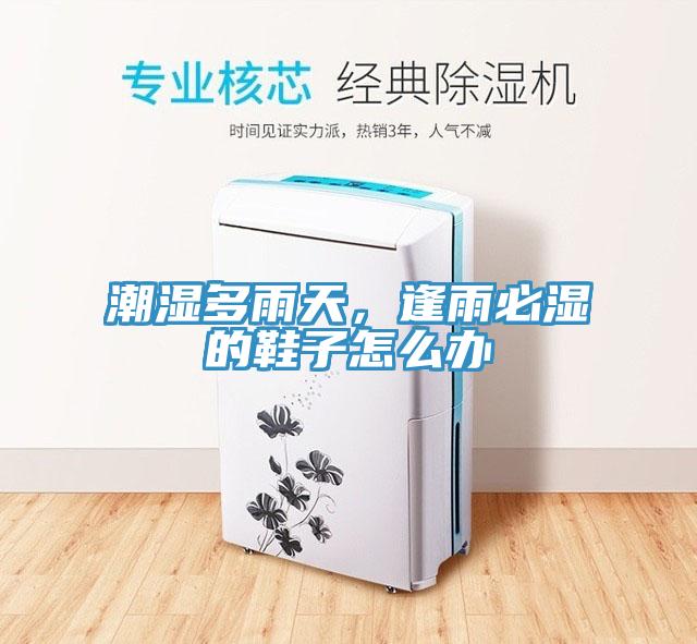 潮濕多雨天，逢雨必濕的鞋子怎么辦