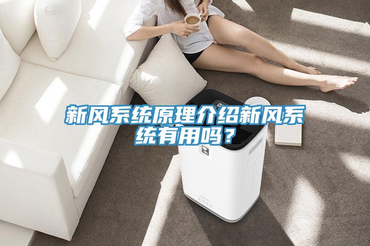 新風(fēng)系統(tǒng)原理介紹新風(fēng)系統(tǒng)有用嗎？