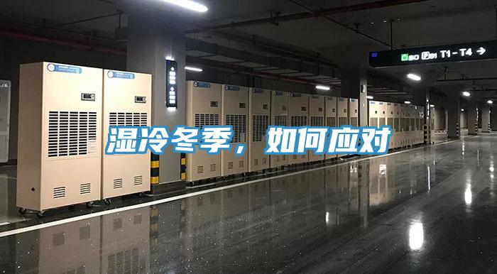 濕冷冬季，如何應(yīng)對