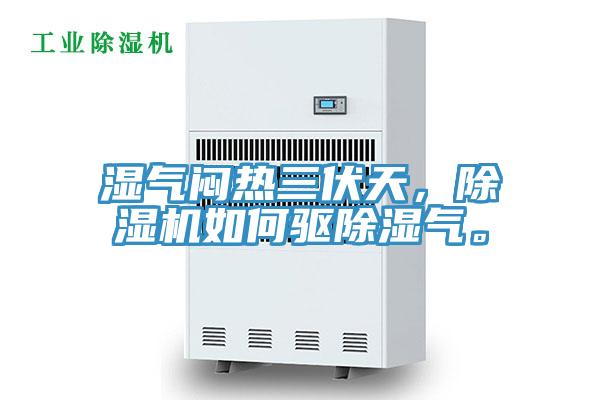 濕氣悶熱三伏天，除濕機(jī)如何驅(qū)除濕氣。
