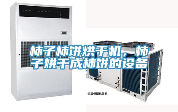 柿子柿餅烘干機，柿子烘干成柿餅的設(shè)備